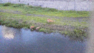 2015091511050000.jpg