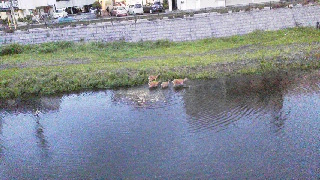 2015091511060000.jpg