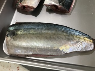 To2019.9.jpg