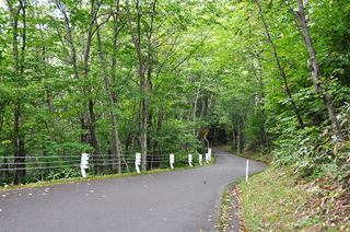 山形村への道_1 2015.9.2_k.jpg