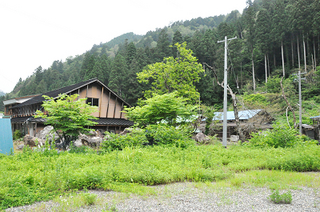 弘法芋2014.6.18_k_3.jpg