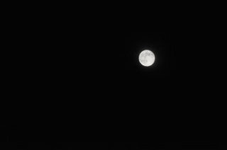 月見の宴_10_k.jpg