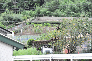 棡原 長寿館_1_k.jpg