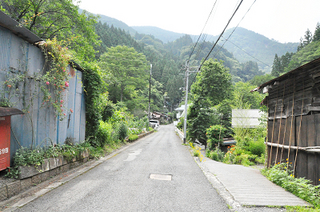 治助芋2014.7.14_1_k.jpg