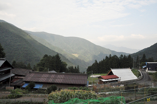 治助芋2014.7.14_3_k.jpg