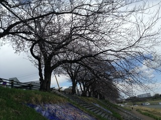 Ԍ2019.4.1-2.jpg