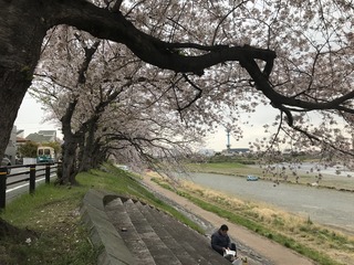 Ԍ2019.4.12-1.jpg
